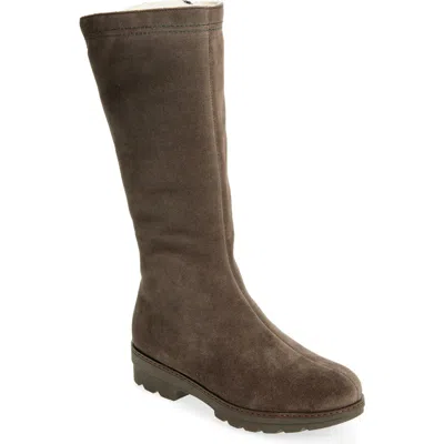 La Canadienne Villa Waterproof Faux Shearling Lined Tall Boot In Brown