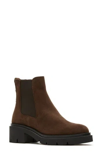 La Canadienne Waren City Dry™ Waterproof Chelsea Boot In Brown