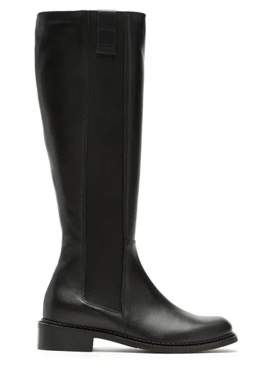 La Canadienne Story In Black
