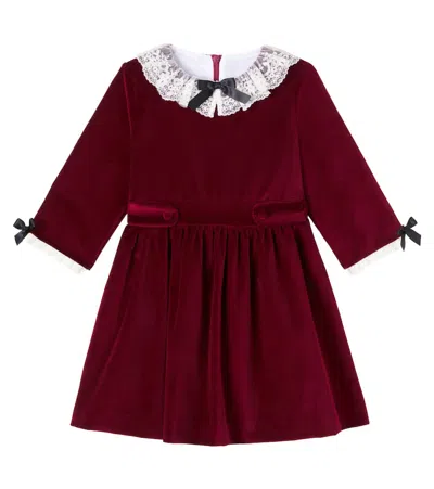 La Coqueta Kids' Eva Lace-trimmed Cotton Velvet Dress In Burgundy