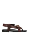 La Corte Della Pelle By Franco Ballin Woman Toe Strap Sandals Dark Brown Size 6 Soft Leather In Brown