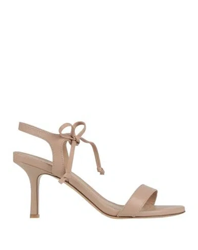 La Cuinta Woman Sandals Blush Size 8 Leather In Pink