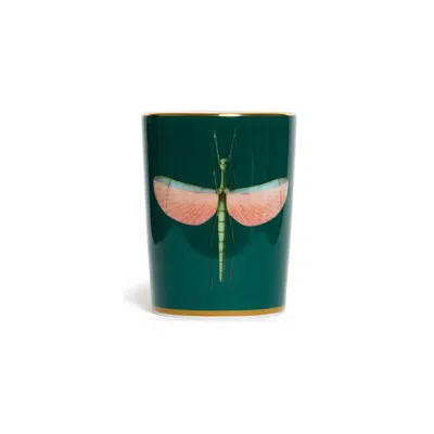 LA DOUBLEJ DECORATIVE CUP