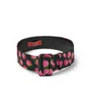 La Doublej Medium Belt In Multi