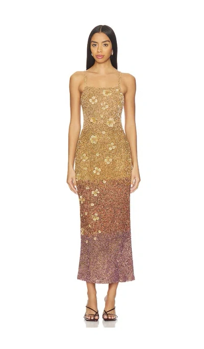 La Fuori Alessia Sovereign Ombre Midi Dress In Oscar Gold