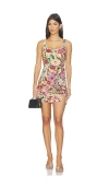 La Fuori Botanical Symphony Mini Dress In Multi