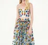 La Fuori Pera Embroidered Corset In Multi In White