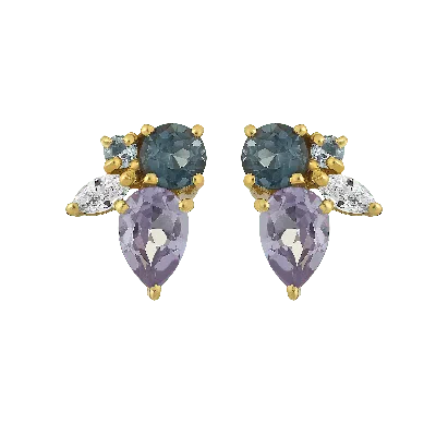 La Kaiser Women's Tropical Caribbean Studs In Multi