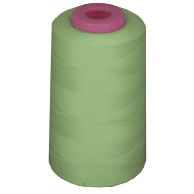 La Linen 6000 Yards 100 Percent Polyester Cone Serger Thread, Sage - A320