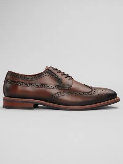 La Milano Kylian Wingtip Oxfords In Multi