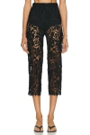 La Porte Gabrielle Lace Capri Pant In Black