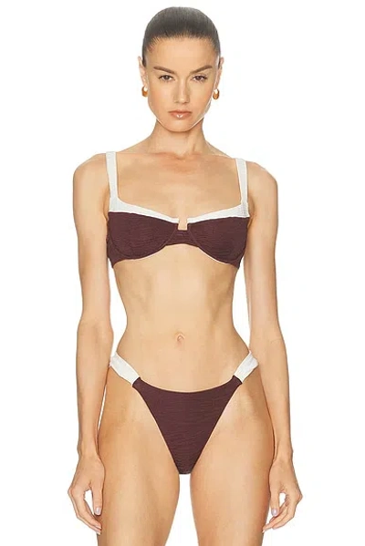 La Porte Massie Bikini Top In Brown