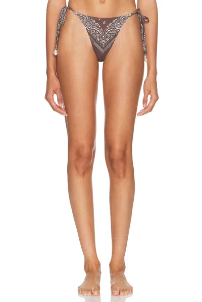 La Porte Midnight Rodeo Aurora Bikini Bottom In Brown