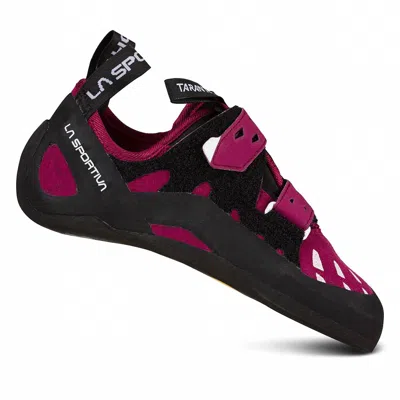 La Sportiva Women's Tarantula Climbing Shoe In Red Plum In Multi