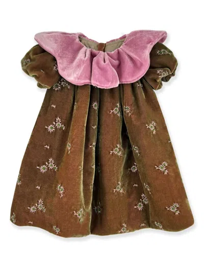 La Stupenderia Babies' Contrasting Velvet Dress In Brown