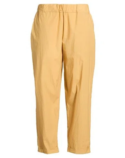 Labo.art Labo. Art Woman Pants Marigold Size 3 Cotton In Yellow