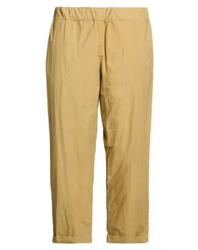 Labo.art Labo. Art Woman Pants Sand Size 4 Cotton In Multi