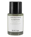 Laboratorio Olfattivo Noblige Eau De Parfum 30 ml In White