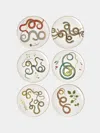 Laboratorio Paravicini Serpi Ceramic Dessert Plates (set Of 6)  Abask Gift Set