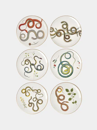 Laboratorio Paravicini Serpi Ceramic Dessert Plates (set Of 6)  Abask Gift Set In Multi