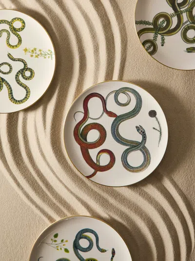 Laboratorio Paravicini Serpi Ceramic Dinner Plates (set Of 6)  Abask Gift Set In Multi