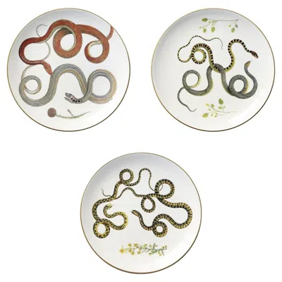 Pre-owned Laboratorio Paravicini Serpi Dinner Plates N°2 Set Of 3 With Red, Green And Grey Snakes