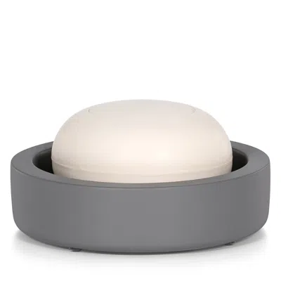 Labrazel Domus Gray Matte Soap Dish In Multi
