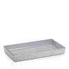 Labrazel Mirabella Tray In Silver