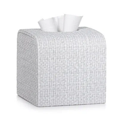 Labrazel Rafya Tissue Cover In Gray
