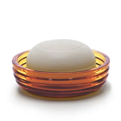 Labrazel Riga Gray Soap Dish In Amber