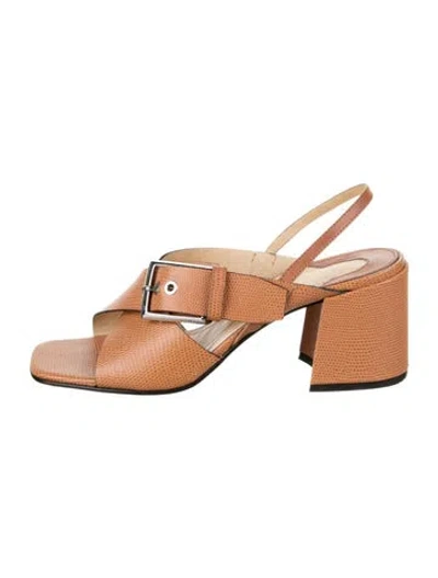 Pre-owned Labucq Leather Sandals In Brown