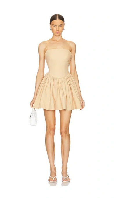 L'academie By Marianna Simone Mini Dress In Brown