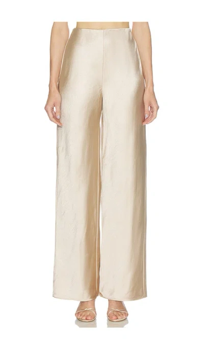 L'academie Etienne Pant In Neutral