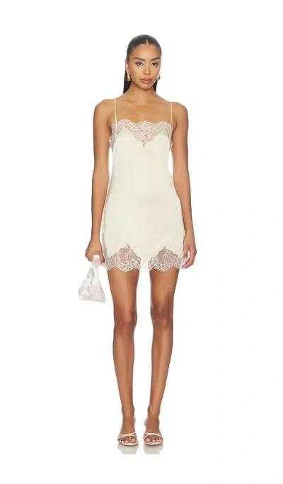 L'academie Geneia Mini Dress In White