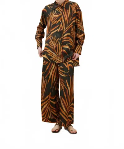 Lace Button Down Shirt In Black In Brown