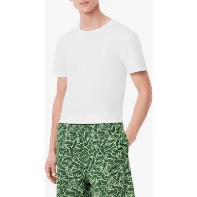 LACOSTE LACOSTE 3-PACK COTTON CREWNECK T-SHIRTS