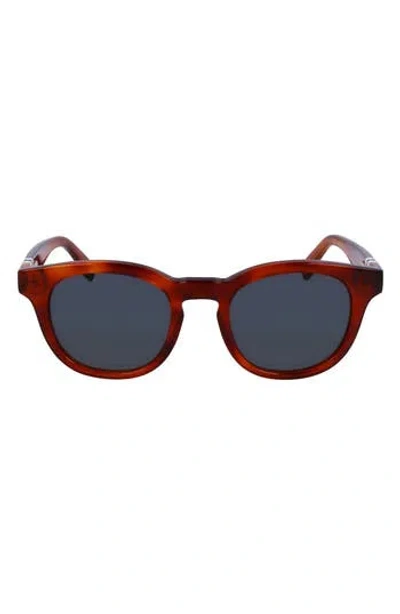 Lacoste 49mm Oval Sunglasses In Brown