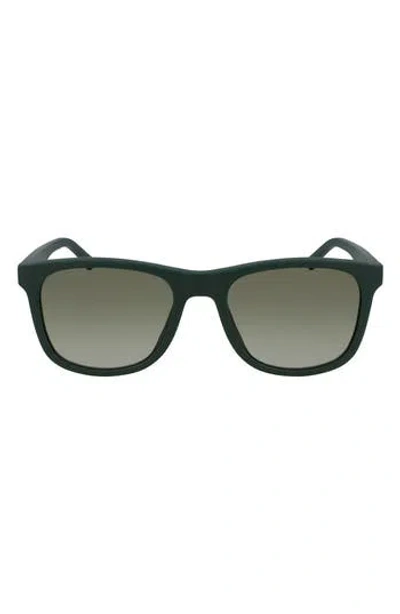 Lacoste 53mm Square Sunglasses In Green