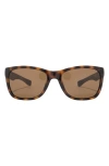 Lacoste 54mm Square Sunglasses In Brown