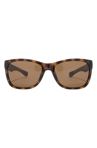 Lacoste 54mm Square Sunglasses In Brown