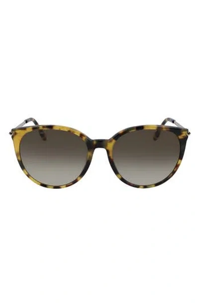 Lacoste 56mm Round Sunglasses In Multi