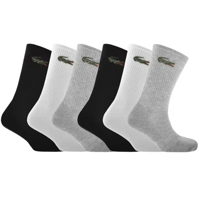 Lacoste 6 Pack Sport Crew Socks In Multi