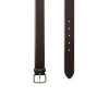 Lacoste Belt In Brown