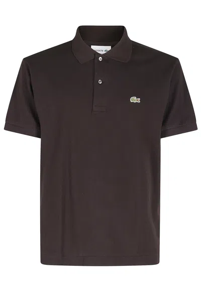 Lacoste Best Polo In Brown