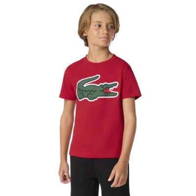 Lacoste Kids' Boys   Sport Rogue T-shirt In Red