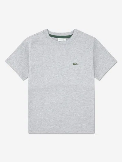 Lacoste Babies'  Boys Logo T-shirt In Gray