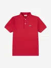 Lacoste Boys Petit Pique Polo Shirt In Red