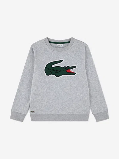 Lacoste Kids'  Boys Pique Applique Fleece Crew Sweatshirt In Gray