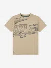 Lacoste Boys Vision Logo T-shirt In Brown