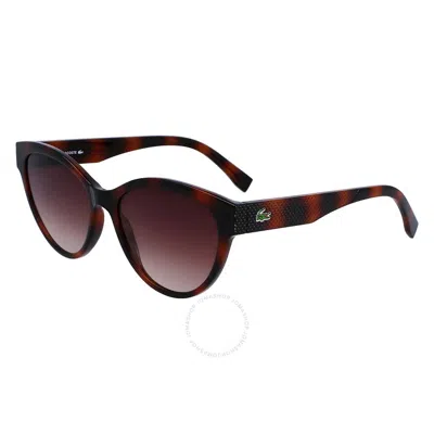 Lacoste Brown Gradient Cat Eye Ladies Sunglasses L983s 240 55 In Red